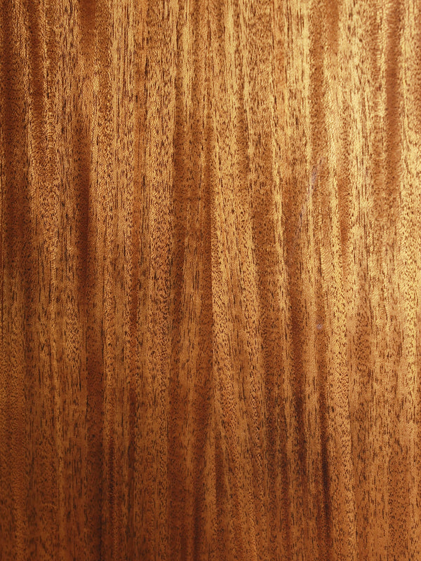 Pre-Owned Taylor 414ce Custom Select Mahogany / Cedar Acoustic-Electric Guitar