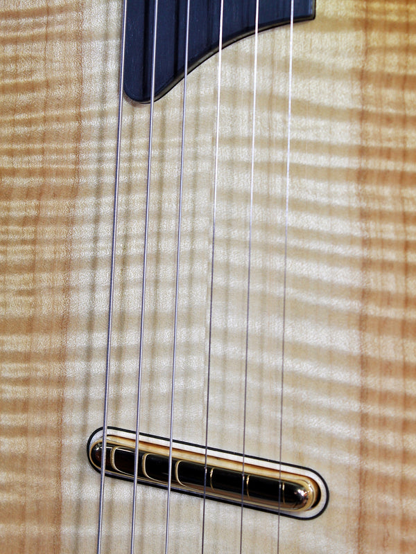 Taylor Guitars Custom T5z Figured Maple NAMM / Catch CT5z-B5027 #27