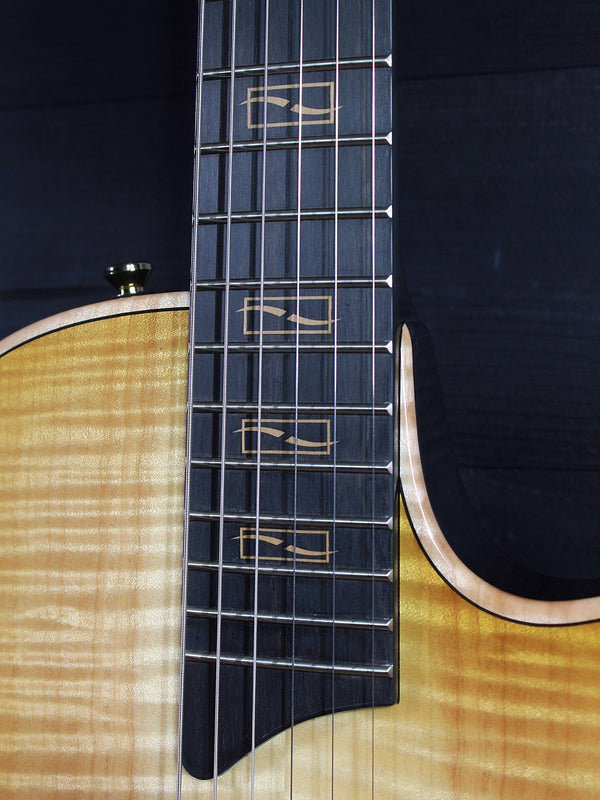 Taylor Guitars Custom T5z Figured Maple NAMM / Catch CT5z-B5027 #27