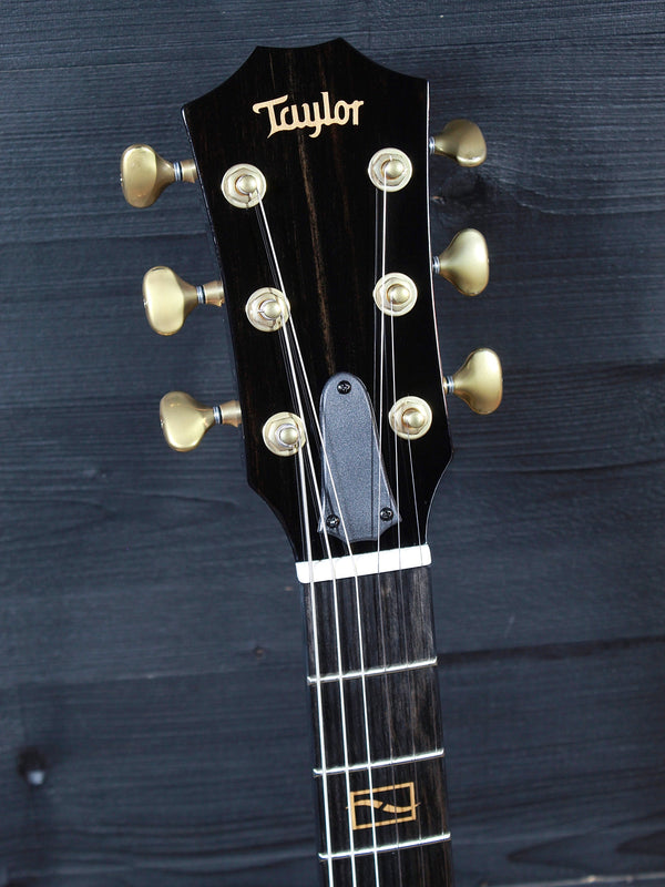 Taylor Guitars Custom T5z Figured Maple NAMM / Catch CT5z-B5027 #27