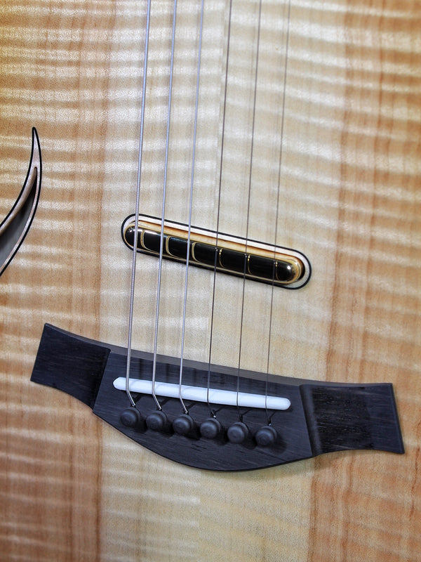Taylor Guitars Custom T5z Figured Maple NAMM / Catch CT5z-B5027 #27