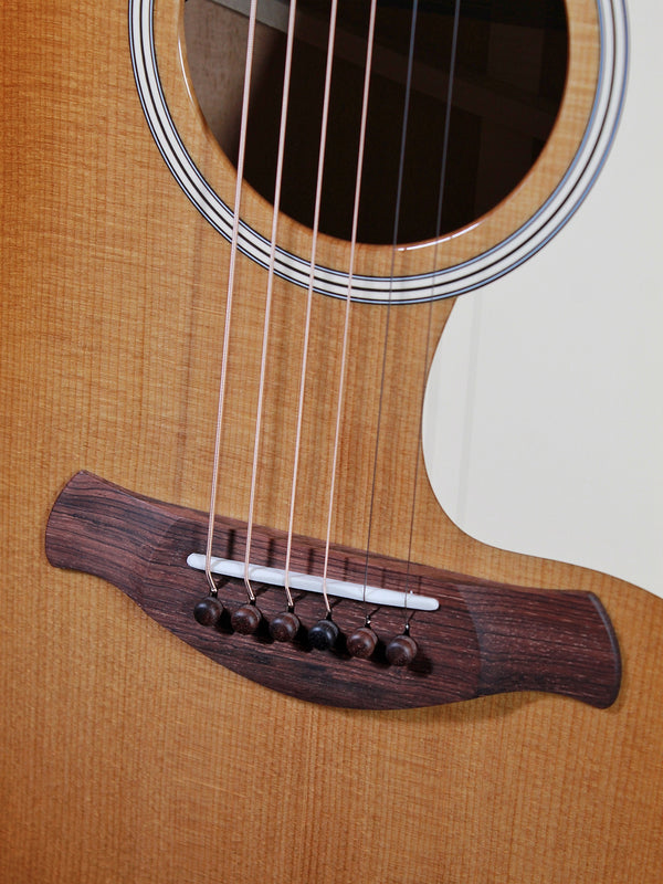 Taylor Guitars Gold Label 517e SB Grand Pacific Mahogany Torrified Spruce Demo Model