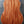Load image into Gallery viewer, Taylor Guitars Gold Label 517e SB Grand Pacific Mahogany Torrified Spruce Demo Model

