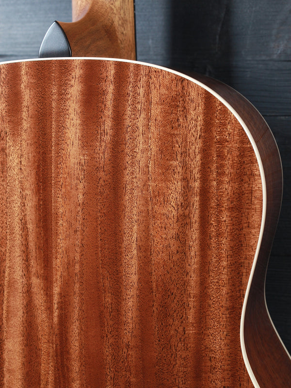Taylor Guitars Gold Label 517e SB Grand Pacific Mahogany Torrified Spruce Demo Model