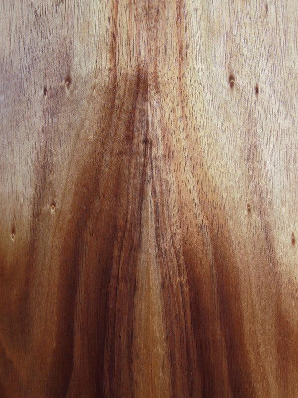 Taylor GS Mini E Koa Left Handed Acoustic Electric Guitar