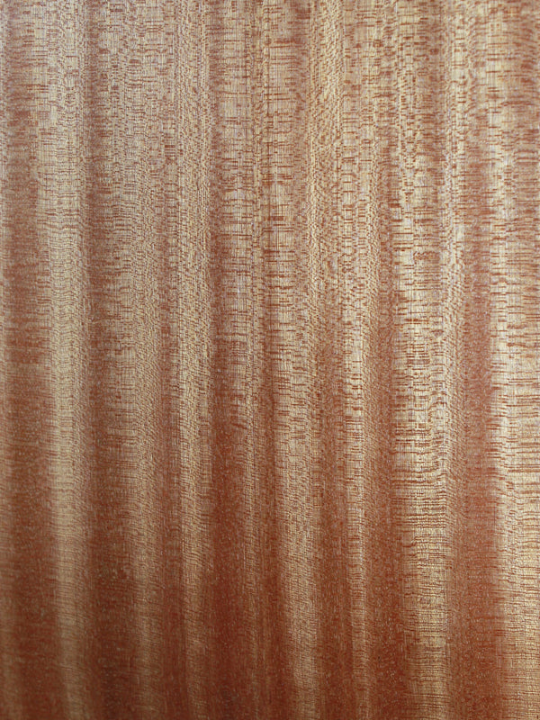 Taylor GS Mini E Mahogany Top Acoustic-Electric Guitar