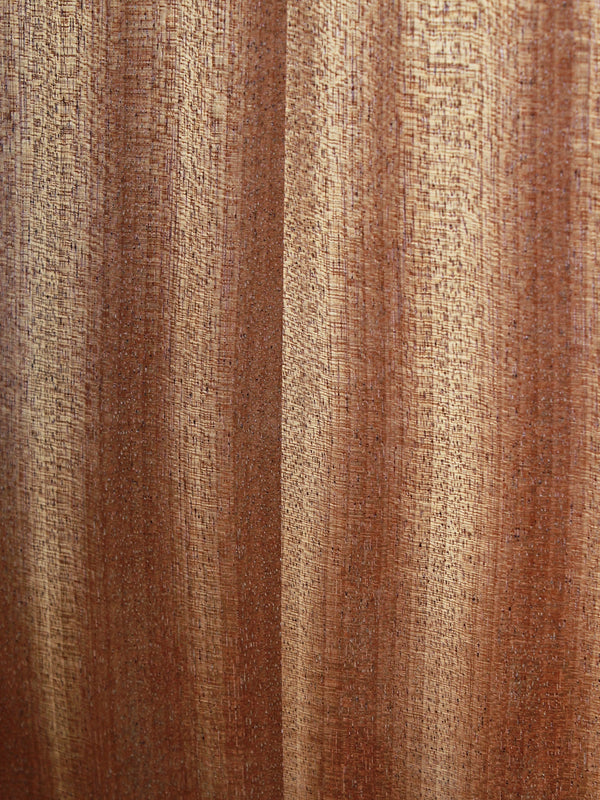 Taylor GS Mini-e Special Edition Floral Blue sapele back close up