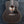 Load image into Gallery viewer, Taylor GS Mini E Transparent Blacktop Acoustic-Electric Guitar

