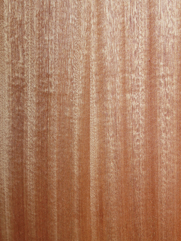 Taylor GS Mini M Mahogany Acoustic Guitar w/ Deluxe Soft Case