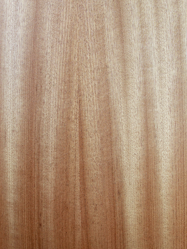 Taylor GS Mini-S Sapele / Spruce Acoustic Guitar