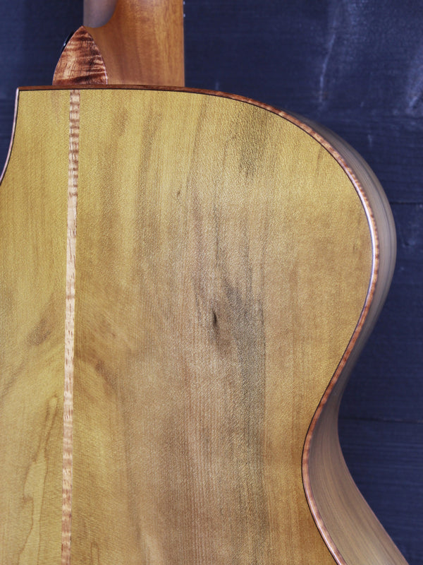 Taylor Guitars NAMM #26 Custom GC Blackheart Sassafras / Engelmann B6026