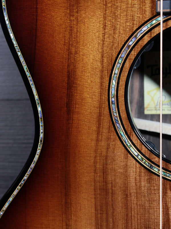 Taylor Next Generation Builder’s Edition 914ce LTD  Macassar Ebony / Sinker Redwood