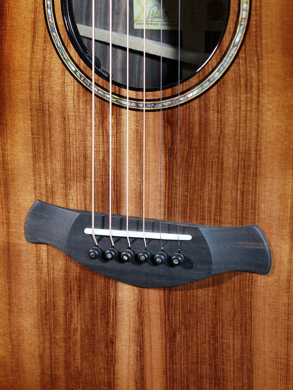 Taylor Next Generation Builder’s Edition 914ce LTD  Macassar Ebony / Sinker Redwood