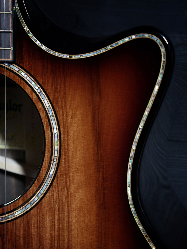 Taylor Next Generation Builder’s Edition 914ce LTD  Macassar Ebony / Sinker Redwood