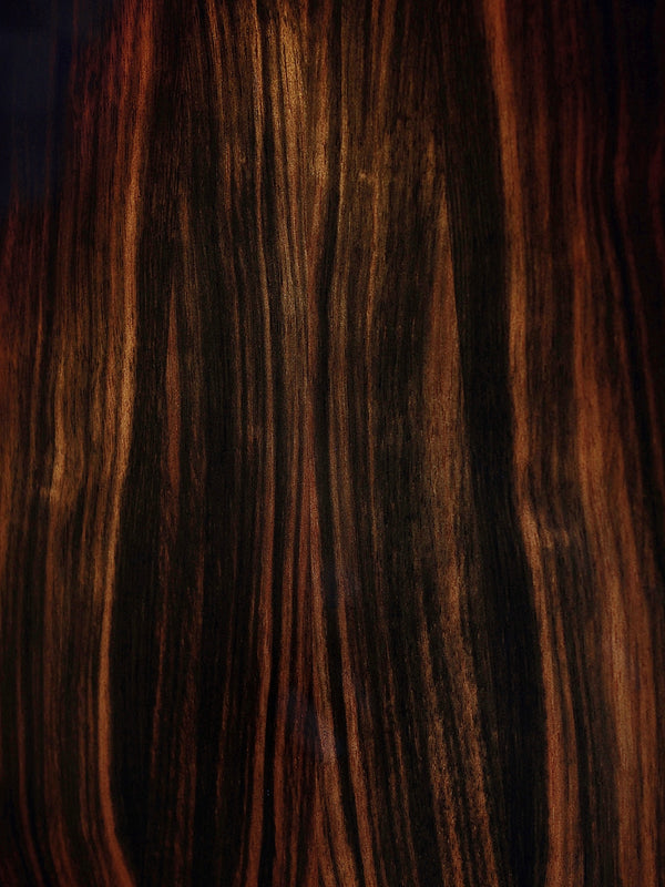 Taylor Next Generation Builder’s Edition 914ce LTD  Macassar Ebony / Sinker Redwood