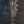 Load image into Gallery viewer, Taylor Next Generation Builder’s Edition 324ce Sapele / Mahogany Top w/ Claria Pickup
