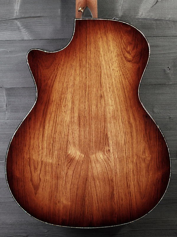 Taylor PS14ce Honduran Rosewood / Adirondack Presentation Acoustic-Electric Guitar