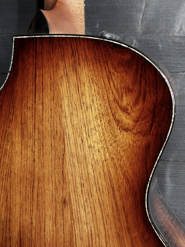 Taylor PS14ce Honduran Rosewood / Adirondack Presentation Acoustic-Electric Guitar