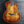 Load image into Gallery viewer, Pre-Owned Taylor T5-C2 Koa Top (Full Size) Acoustic-Electric Hybrid Guitar
