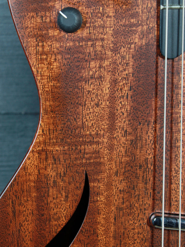 Pre-Owned Taylor T5z Classic Mahogany Top Hollowbody Hybrid w/ Taylor Hardshell Case