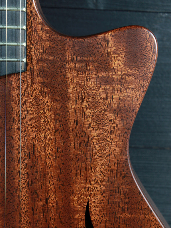 Pre-Owned Taylor T5z Classic Mahogany Top Hollowbody Hybrid w/ Taylor Hardshell Case