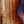 Load image into Gallery viewer, Taylor K24ce Special Edition Next Generation Grand Auditorium Acoustic-Electric Guitar – Select Hawaiian Koa
