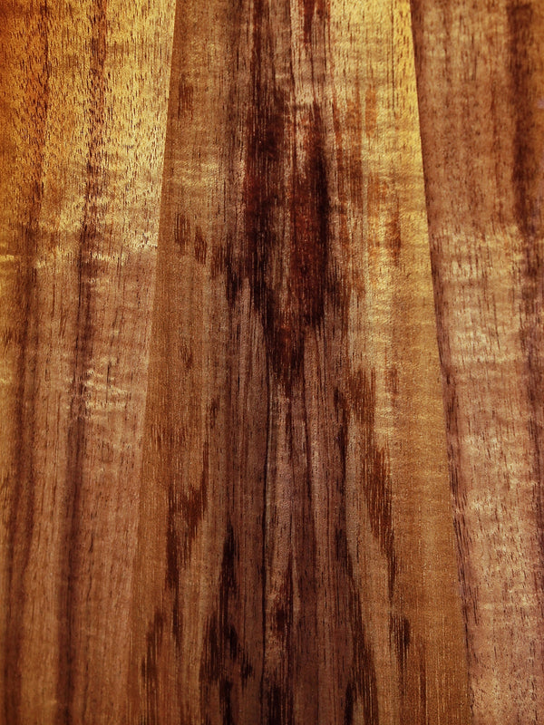 Taylor K24ce Special Edition Next Generation Grand Auditorium Acoustic-Electric Guitar – Select Hawaiian Koa