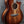 Load image into Gallery viewer, Taylor Next Generation K24ce Special Edition Hawaiian Koa acoustic electric guitar front glamour shot
