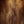 Load image into Gallery viewer, Taylor K24ce Special Edition figured Hawaiian Koa back close up grain pattern
