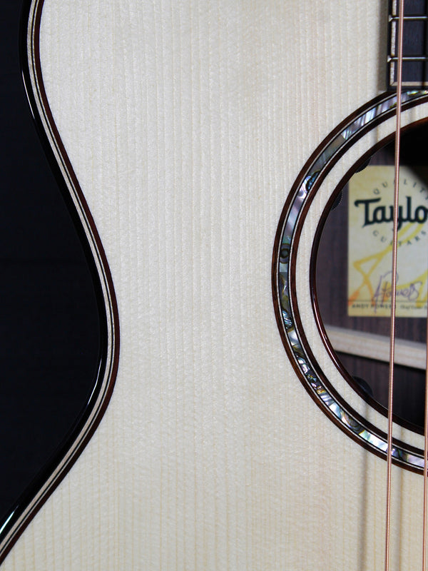 Taylor Next Generation Builder’s Edition 814ce acoustic-electric guitar front view showing rosette