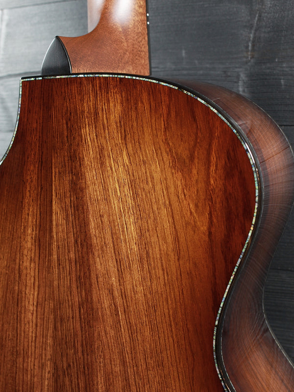 Taylor PS14ce Next Generation Presentation Series – Honduran Rosewood & Sinker Redwood – Acoustic-Electric
