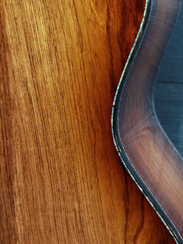 Taylor PS14ce Next Generation Presentation Series – Honduran Rosewood & Sinker Redwood – Acoustic-Electric