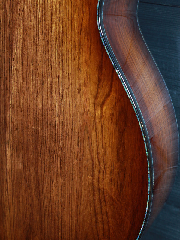 Taylor PS14ce Next Generation Presentation Series – Honduran Rosewood & Sinker Redwood – Acoustic-Electric