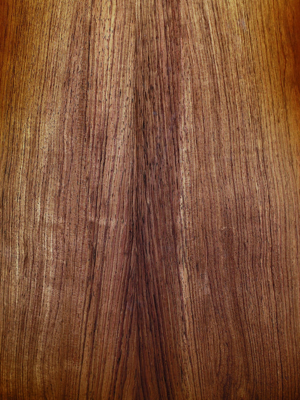 Taylor PS14ce Next Generation Presentation Series – Honduran Rosewood & Sinker Redwood – Acoustic-Electric