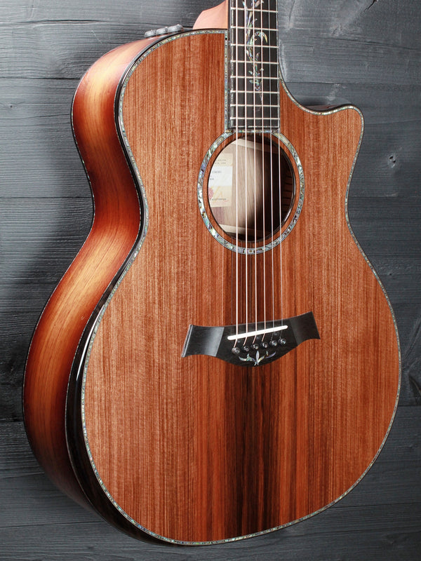 Taylor PS14ce Honduran Rosewood / Sinker Redwood - V Class