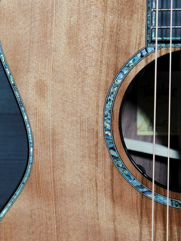 Taylor PS14ce Next Generation Presentation Series – Honduran Rosewood & Sinker Redwood – Acoustic-Electric