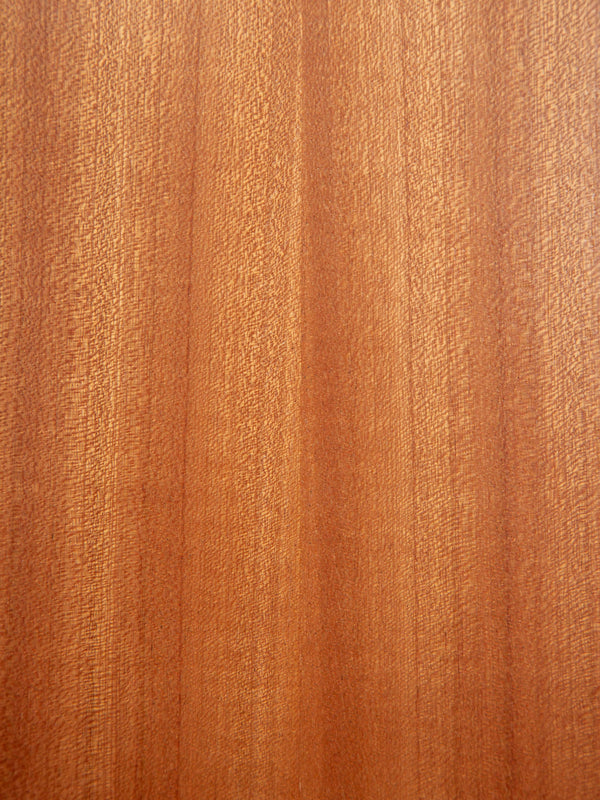 Taylor TS-BT Taylor Swift Baby Taylor Sapele / Spruce