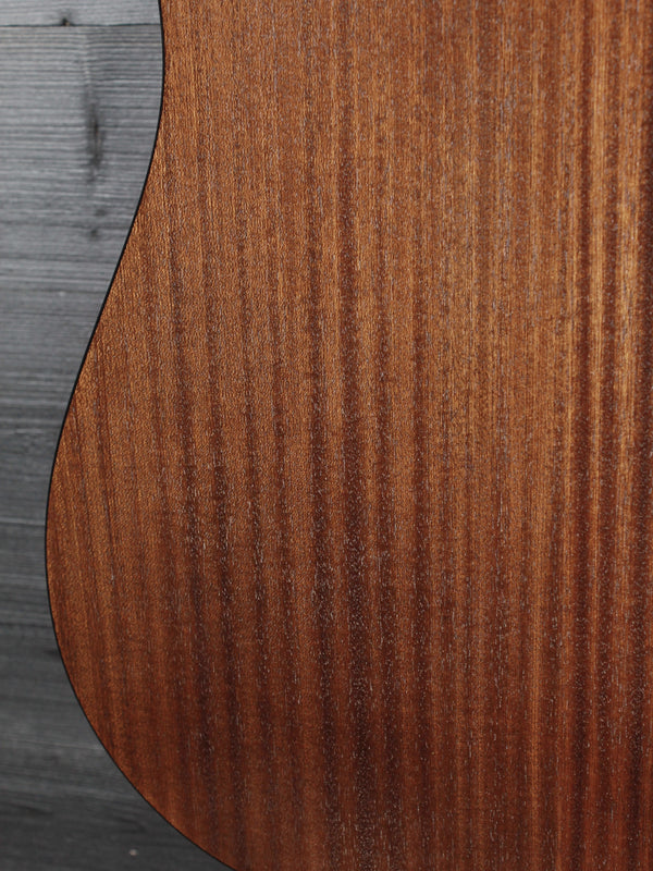 Walden D550E Acoustic-Electric Dreadnought Guitar | Solid Spruce Top