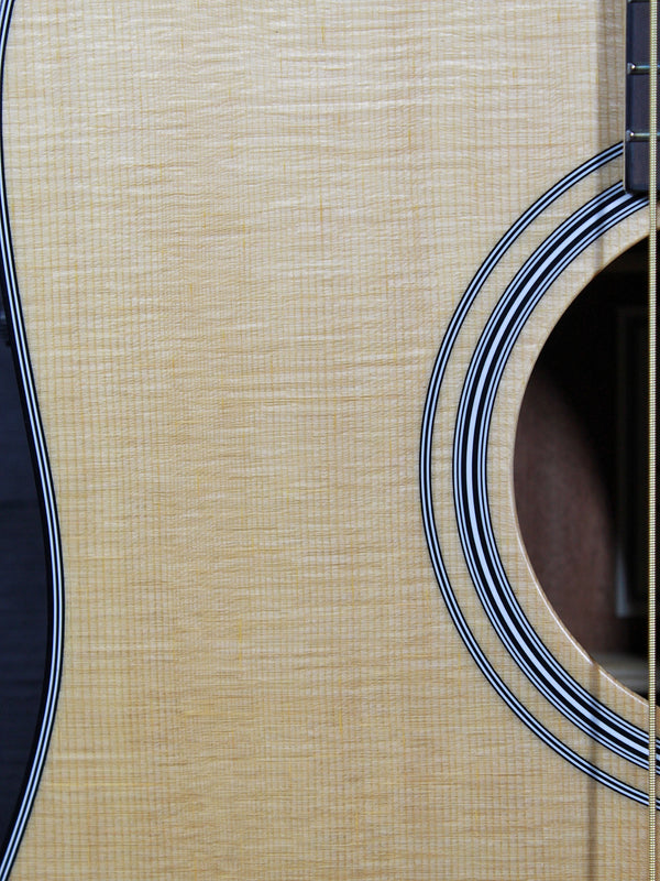 Walden D550E Acoustic-Electric Dreadnought Guitar | Solid Spruce Top