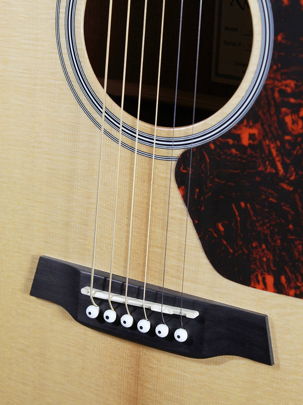 Walden D550E Acoustic-Electric Dreadnought Guitar | Solid Spruce Top