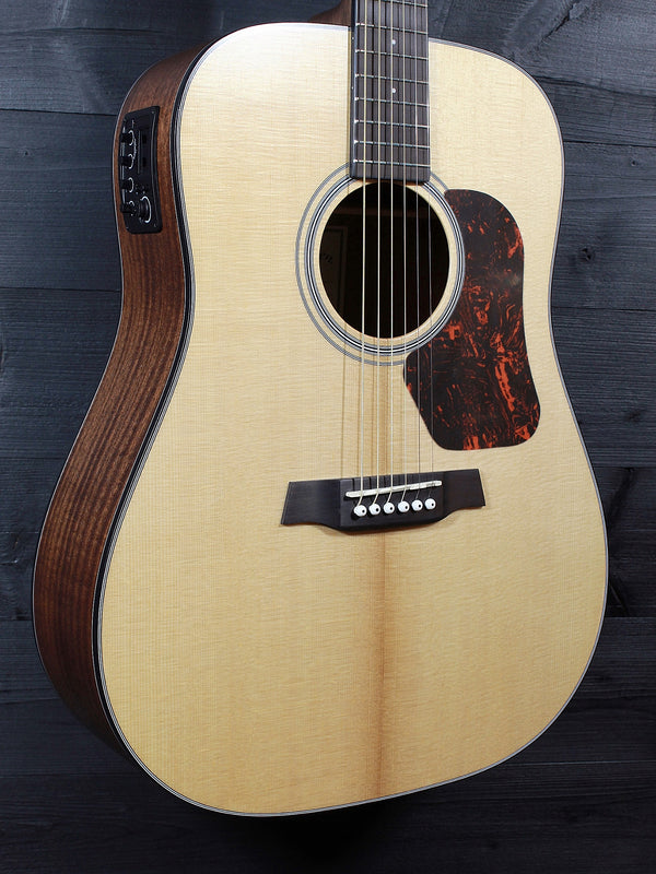 Walden D550E Acoustic-Electric Dreadnought Guitar | Solid Spruce Top