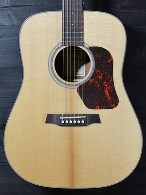 Walden D550E acoustic electric dreadnought guitar