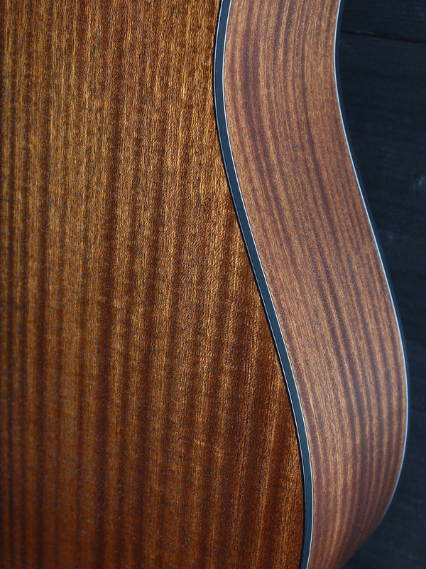 Walden D550E Acoustic-Electric Dreadnought Guitar | Solid Spruce Top