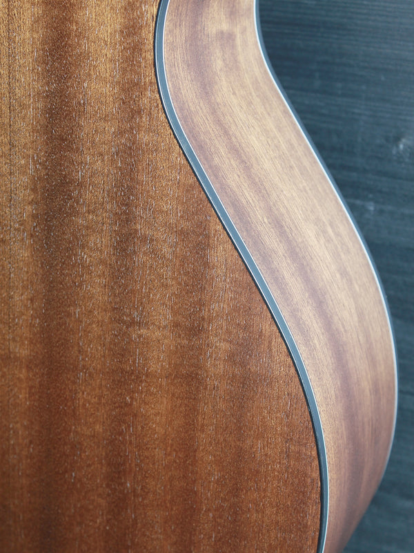 Walden Guitars G570ETB Solid Cedar Top Auditorium w/ Electronics