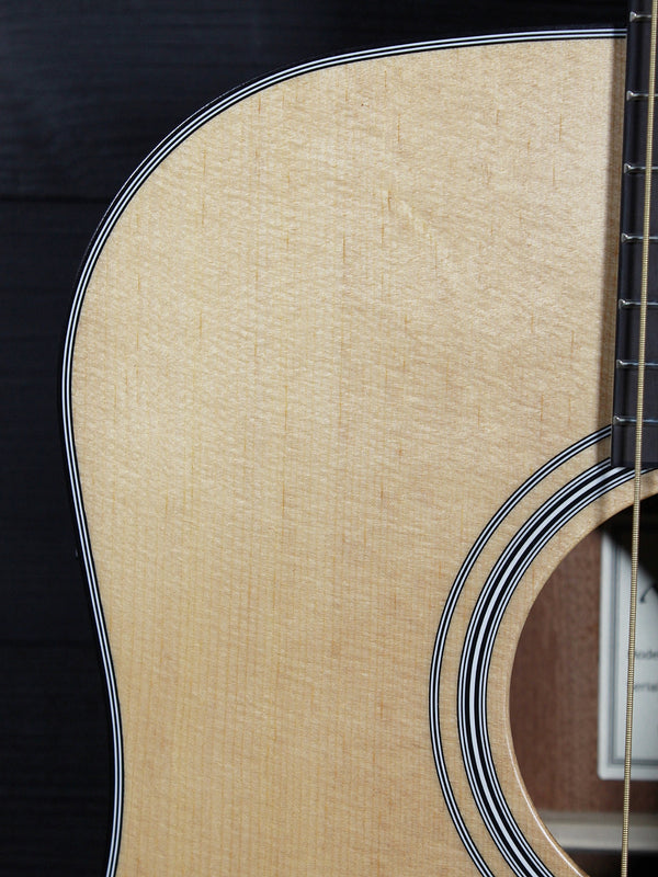 Walden Guitars D550CE Solid Top Acoustic-Electric Dreadnought