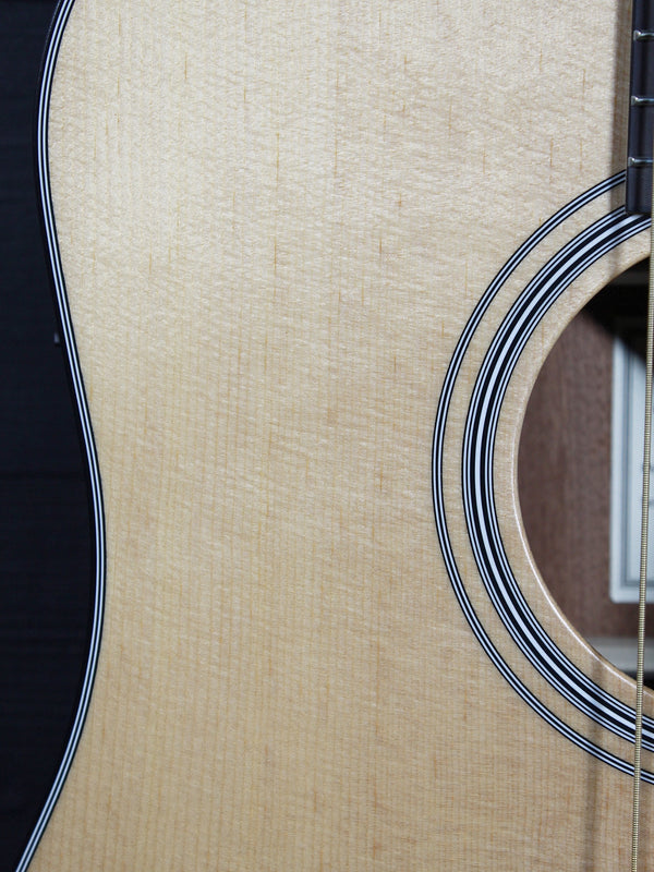 Walden Guitars D550CE Solid Top Acoustic-Electric Dreadnought