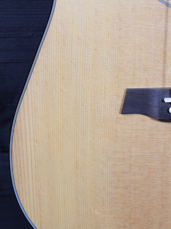 Walden Guitars D550CE Solid Top Acoustic-Electric Dreadnought
