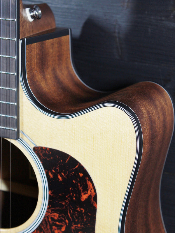 Walden Guitars D550CE Solid Top Acoustic-Electric Dreadnought