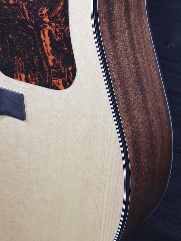 Walden Guitars D550CE Solid Top Acoustic-Electric Dreadnought