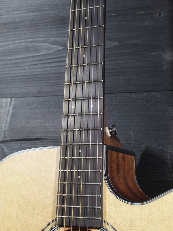 Walden Guitars D550CE Solid Top Acoustic-Electric Dreadnought